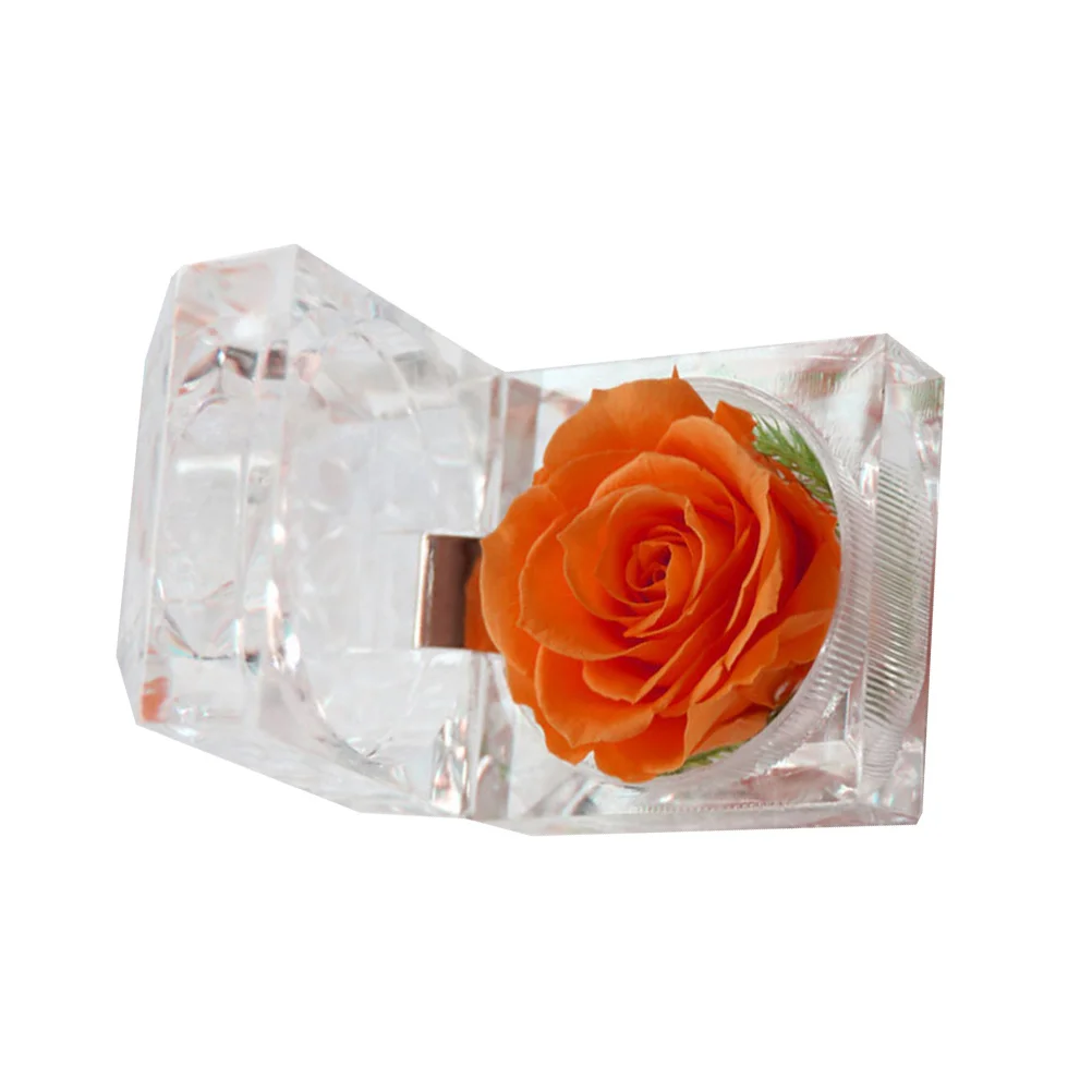 Confezione regalo da 1 pezzo Fiore conservato Fiore dell'eternità Nessun rischio di allergia Decorazione romantica per camera da letto Soggiorno Arancione