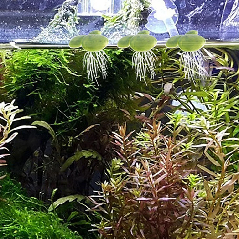 

18Pcs Artificial Mini Duckweed Floating Plastic Aquarium Plants with Root Fish Tank Decorative Fake Aquatic Plants