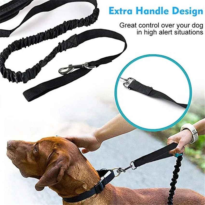 

Elastic Reflective Pet Leashes with Padded Handle, Safe Leader Rope for Dog, No Pull, Walking and Running, Pet Accessories