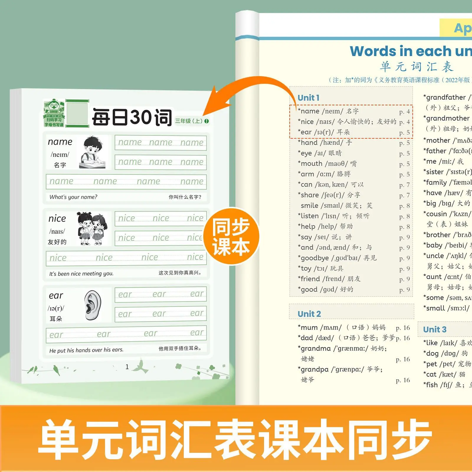 Daily 30 Words Handwriting Practice Book | Elementary School English Vocabulary Copybook | Tracing & Transcription Workbook