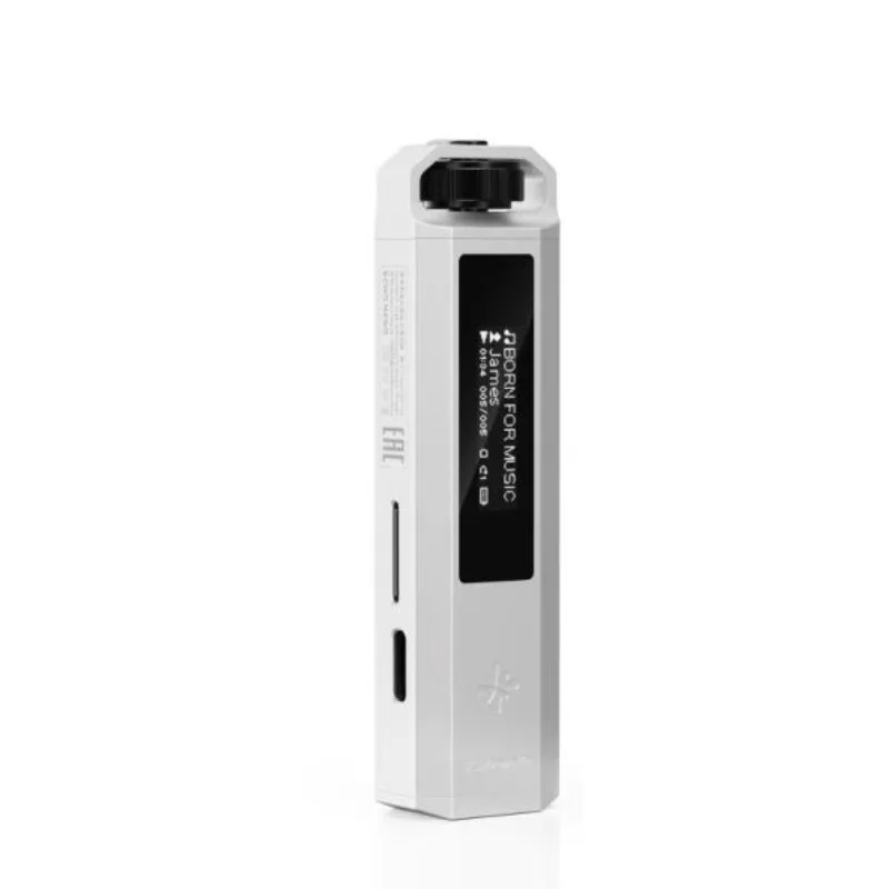 FiiO SnowSky ECHO NANO ポータブルロスレス HiFi 音楽プレーヤー高