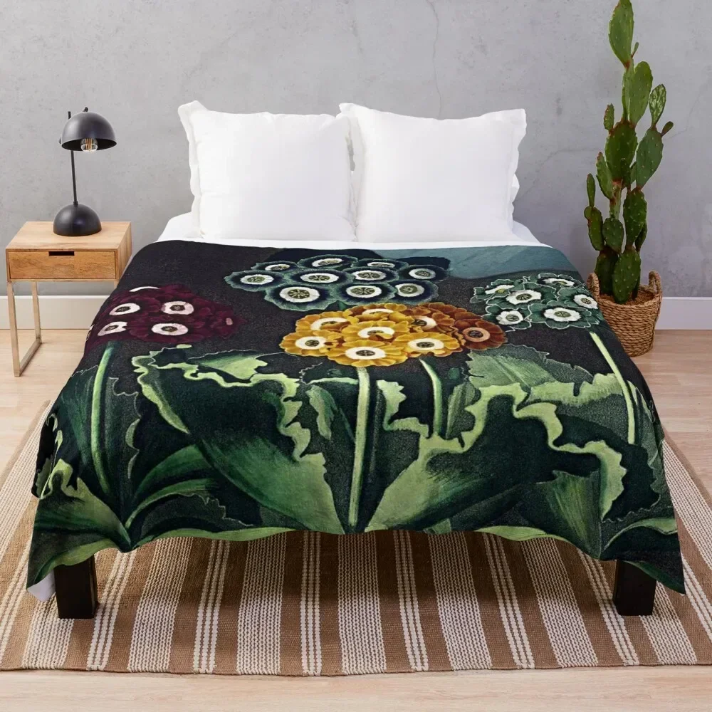 

Botanical Art Temple Of Flora Auriculas Throw Blanket Shaggy Luxury Brand Soft Plush Plaid Blankets