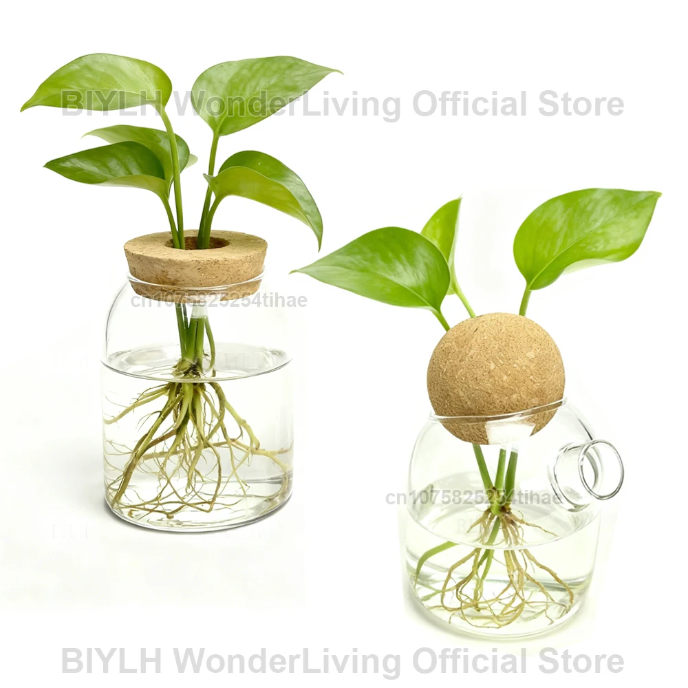 Glass Small Vase Transparent Hydroponic Plant Vase With Bamboo Tray Home decoration Planting Green Plants Small Flower Bottle