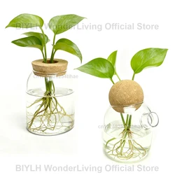 Glass Small Vase Transparent Hydroponic Plant Vase With Bamboo Tray Home decoration Planting Green Plants Small Flower Bottle