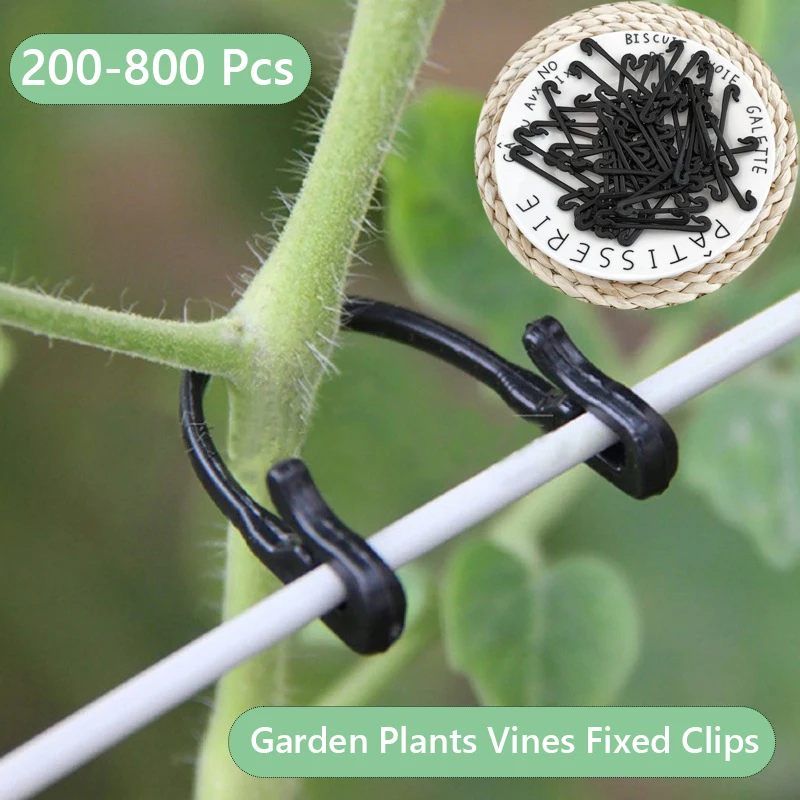 

800/200 Pcs Garden Plants Vines Fixed Clips Tied Buckles Lashing Hook Kiwi Grape Cucumber Tomato Stems Fastener Gadgets Grafting