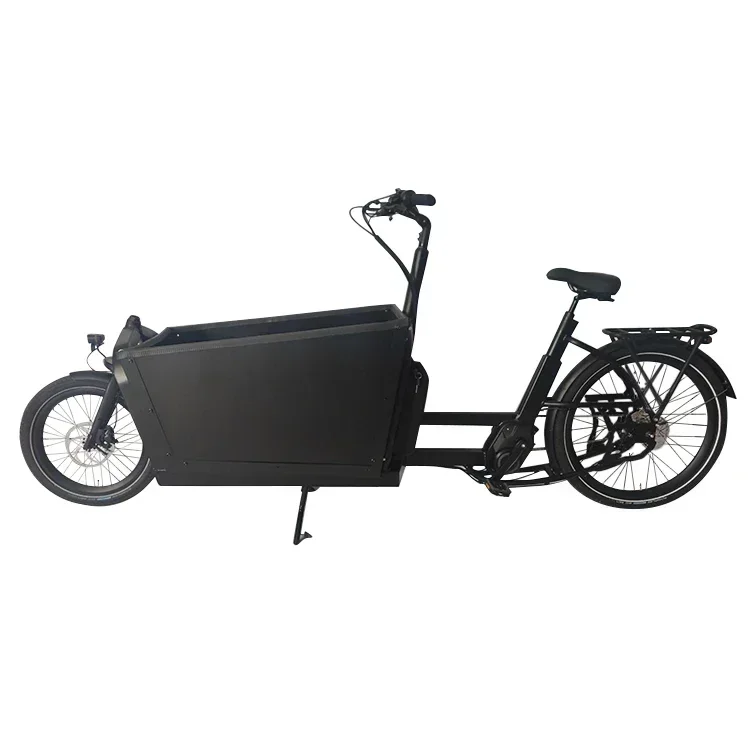 Intelligently Designed Two-wheel Cargo Bike Mid Drive Electric Dutch Cargo Bicycle Elektrische Bakfiets