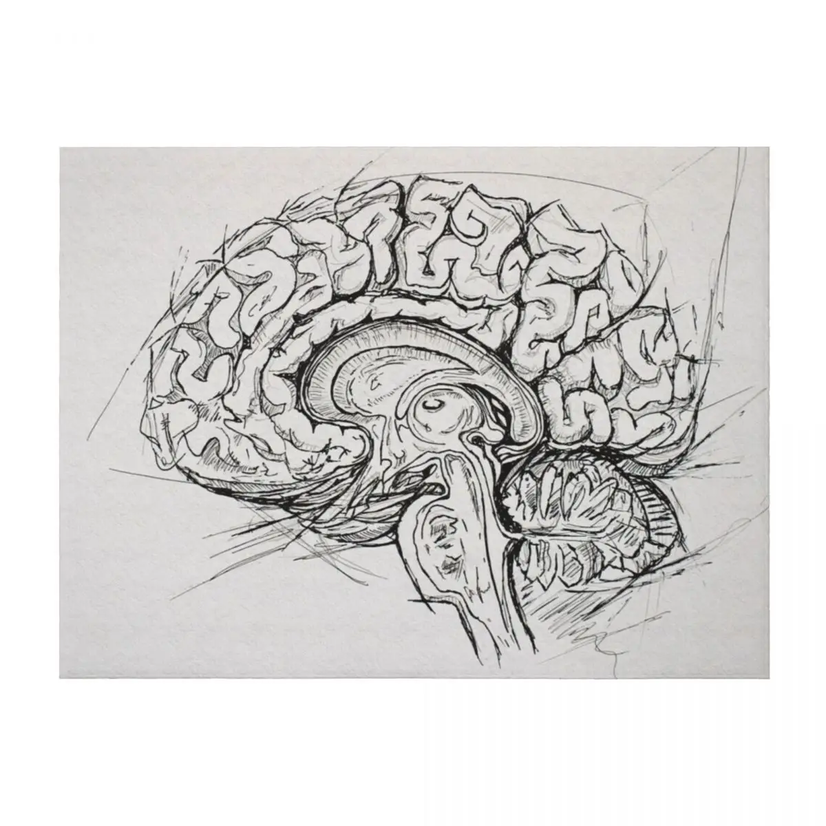 

Brain Throw Blanket Beautifuls Polar for sofa blankets and throws Blankets