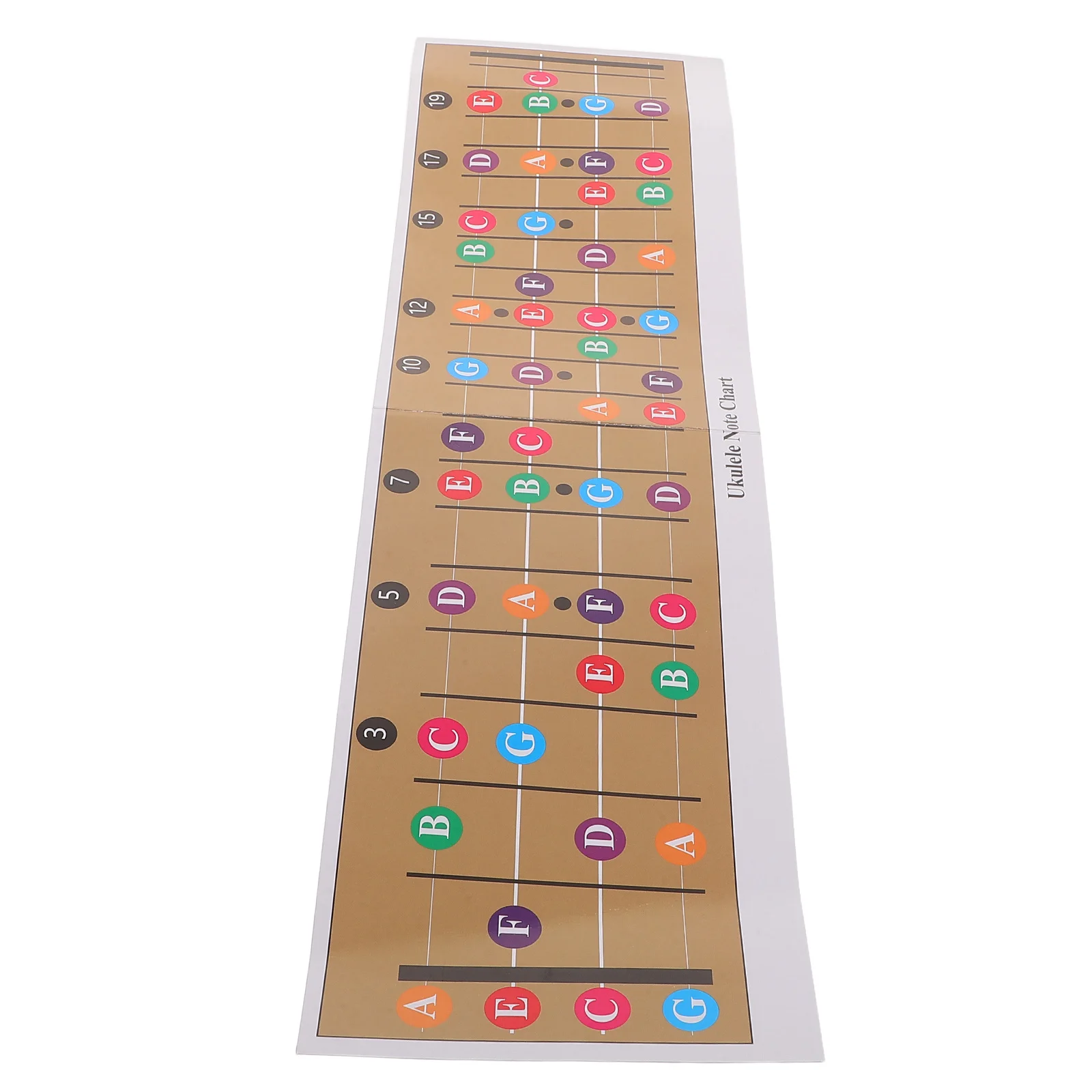 

Ukulele Scale and Chord Chart Four-String Reference Guide Easy Learning Tool Portable Design Ukulele Chord Flyer for Beginners