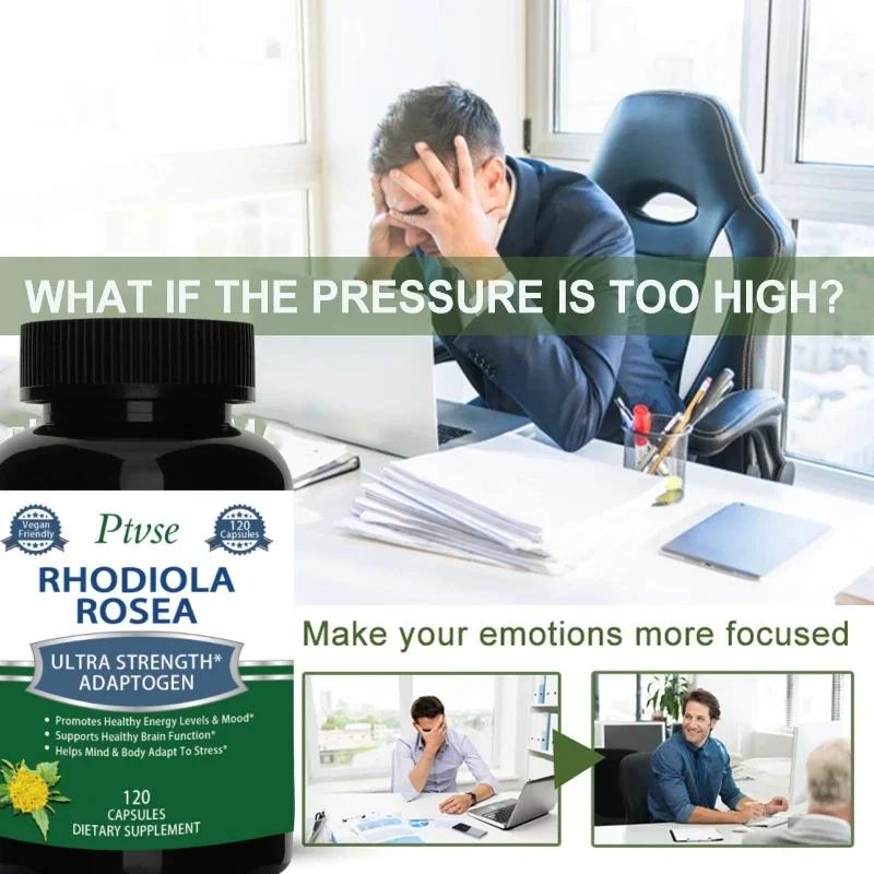 Rhodiola Rosea - Rhodiola Rosea pour l'énergie, instituts soulignés, soutien de l'humeur et mise au point pour améliorer la performance athlétique, fonction cérébrale