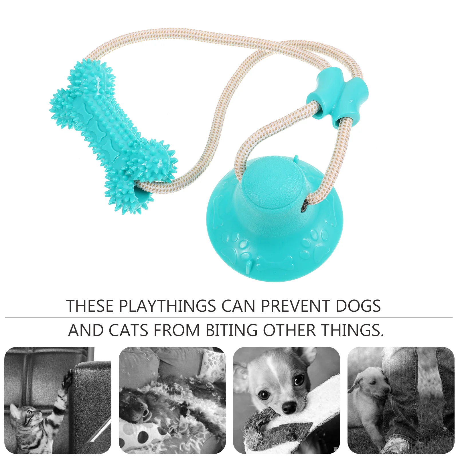 Multifunction Pet Molar Plaything Suction Cup Bite Toy Educational Pet Dog Puppy (Blue) suction cup molar toys