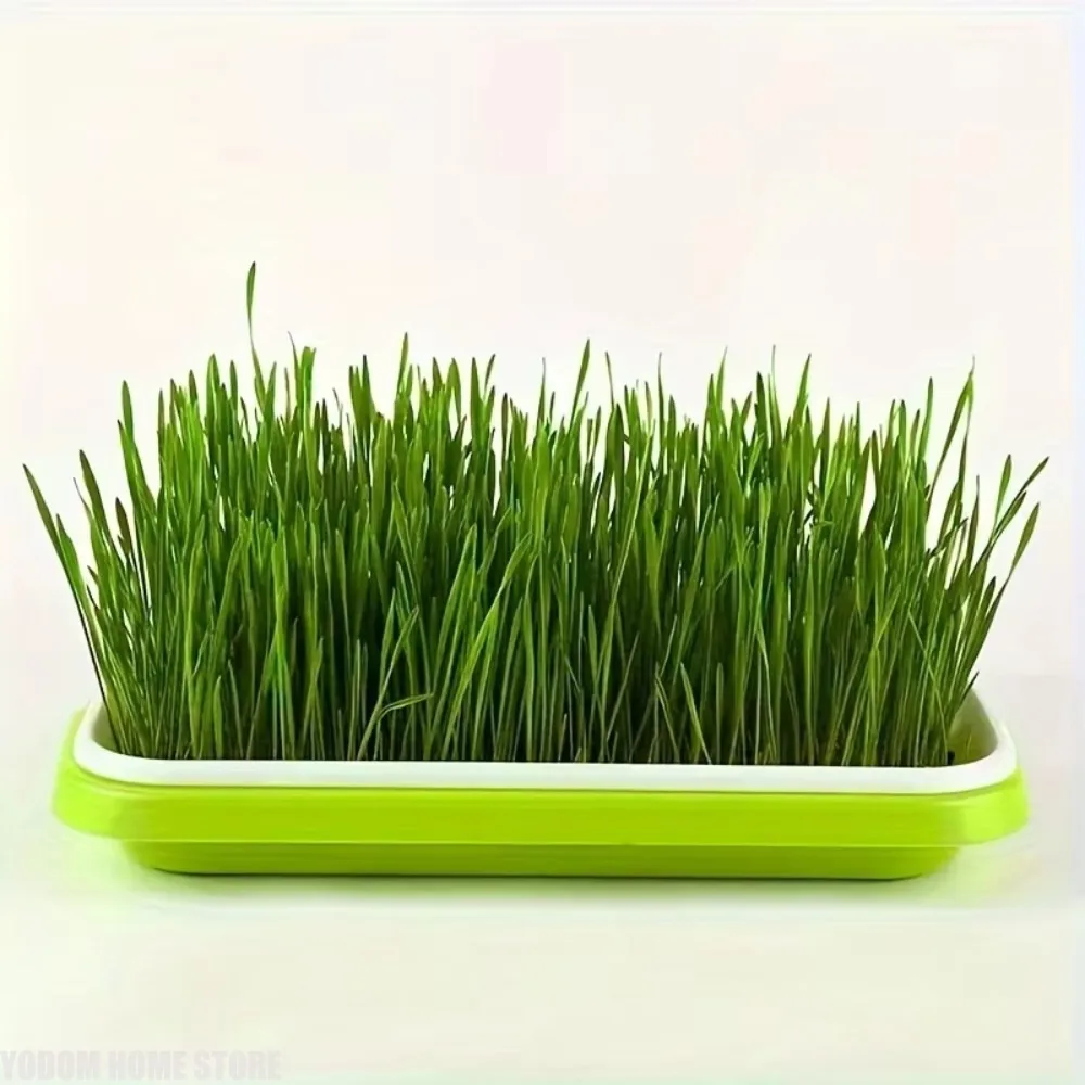 3 Pack Seed Germination Trays Hydroponic Basket Style Soilless Seed Sprouter with Humidity Dome Lids for Home Garden