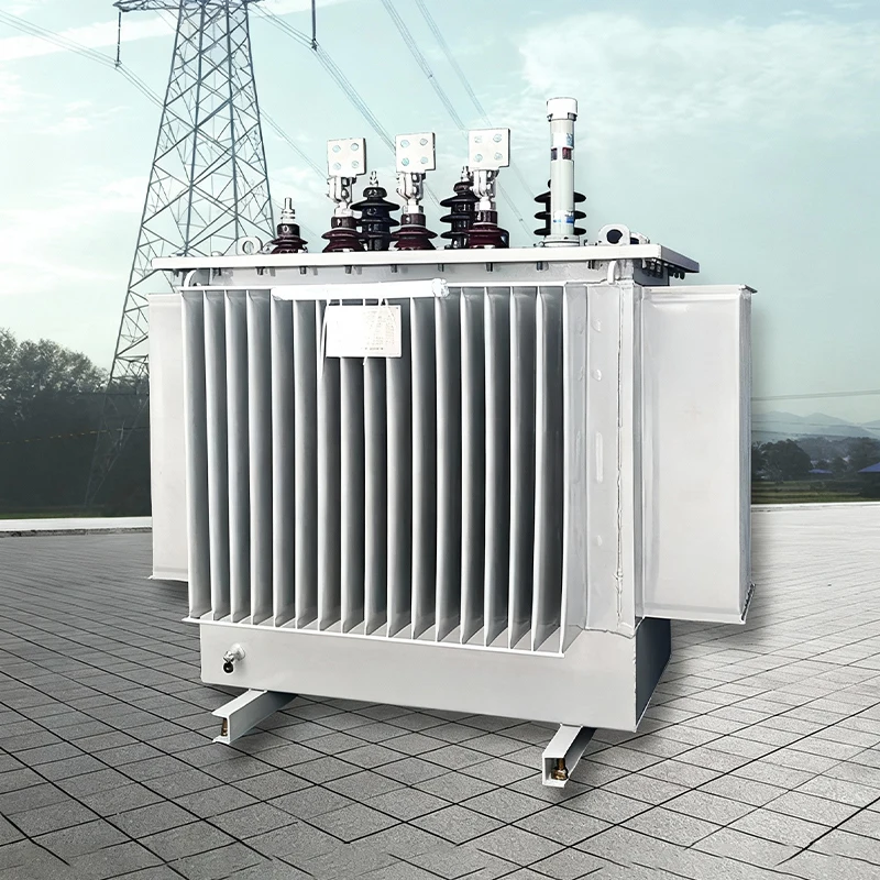 3 Phase Oil Immersed Factory Price S22 100Kva 630Kva 1600Kva 33kv Onan Oil Filled Transformer Electric Power Mv&Hv Transformers
