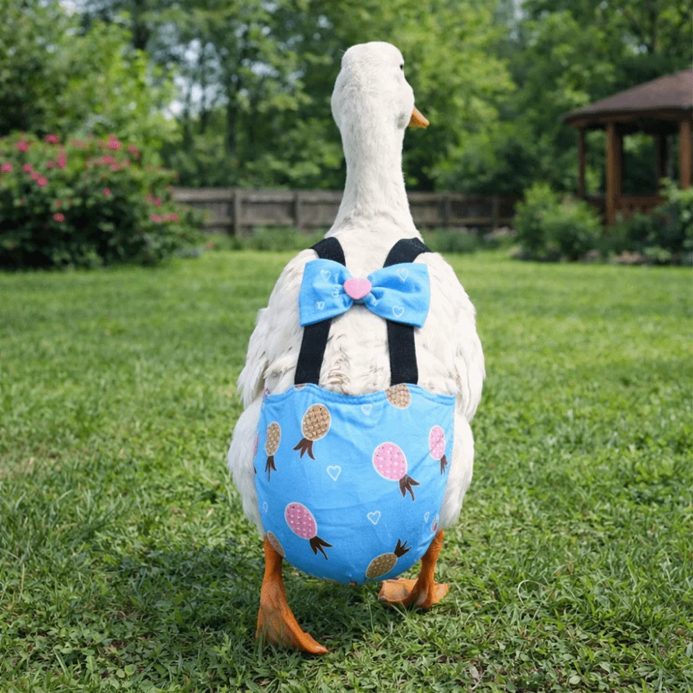 Adjustable Duck Diapers Elastic Band Bowknot Design Chicken Physiological Pants Washable Breathable Poultry Nappy Poultry Care