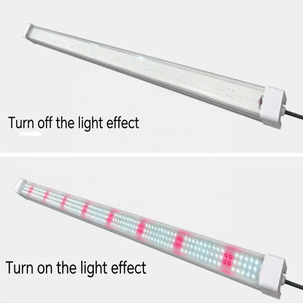 Luz LED para interplanta, 100W, estante de luz para crecimiento de plantas, lámpara para cultivo de tejidos, tubo, raíz de plántulas vegetales