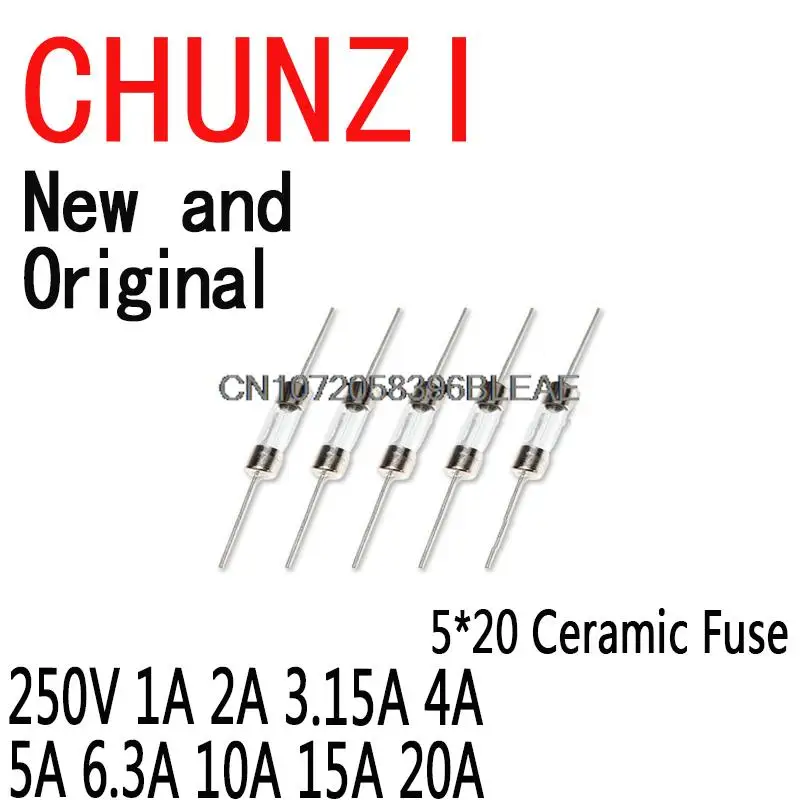 10PCS 5x20mm Ceramic Fuse Slow Blow Tube Fuse With A Pin PUMUDDSY 5*20 250V 1A 2A 3.15A 4A 5A 6.3A 10A 15A 20A