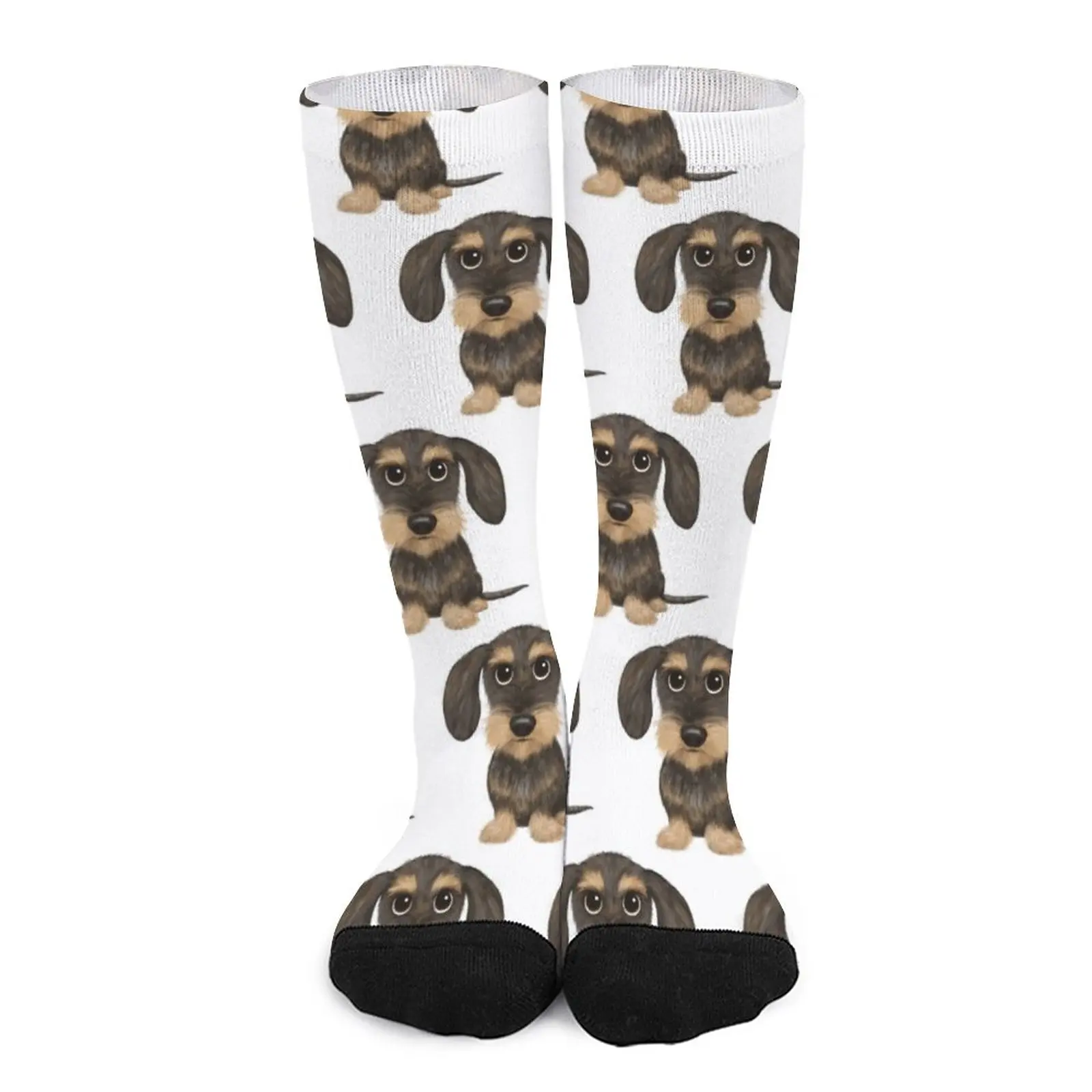 

Wirehaired Dachshund Cute Wire Haired Wiener Dog Wild Boar and Tan Teckel Socks Sock man Socks Women's happy socks