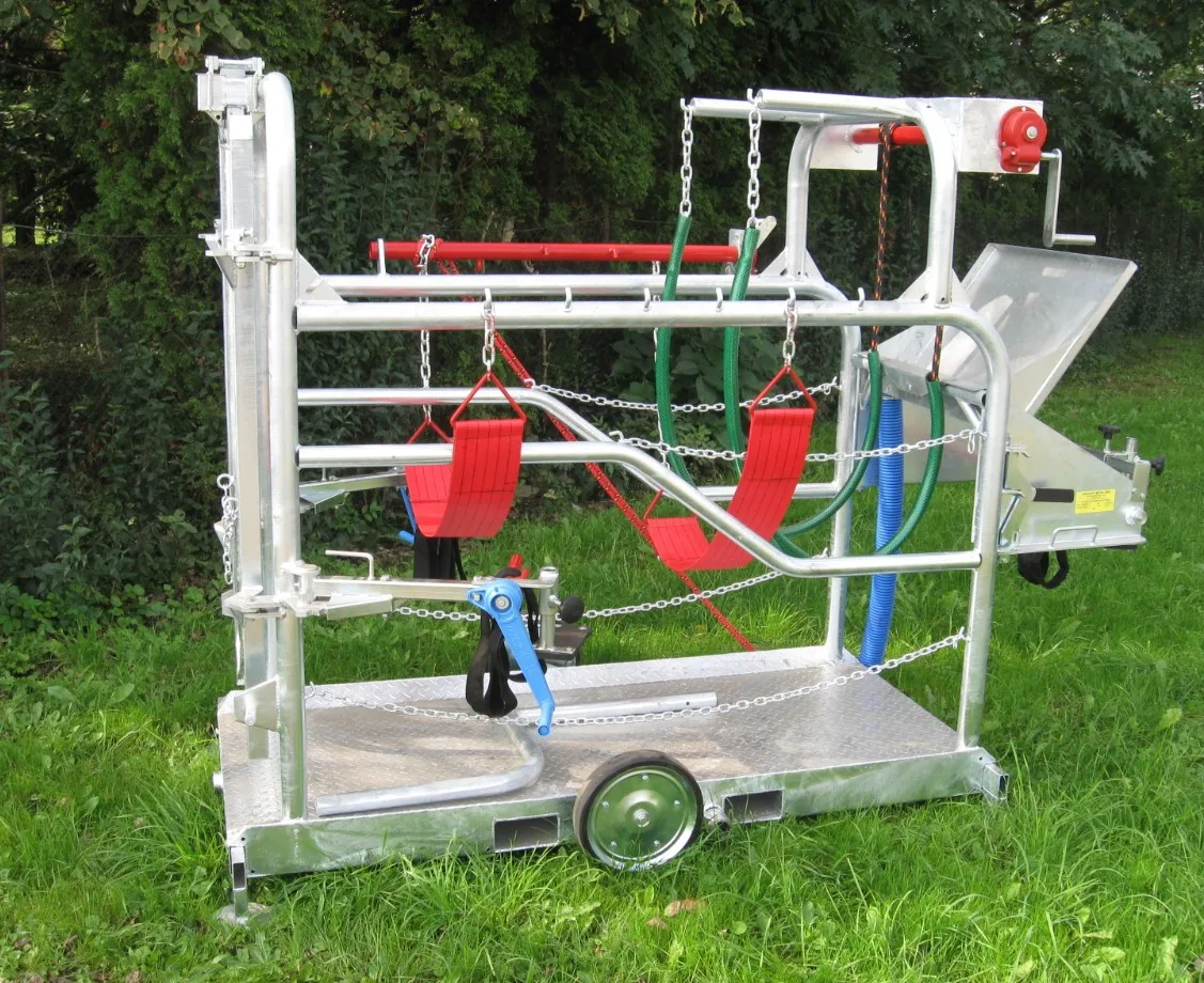 livestock barn equipment for handling house hoof trimming
