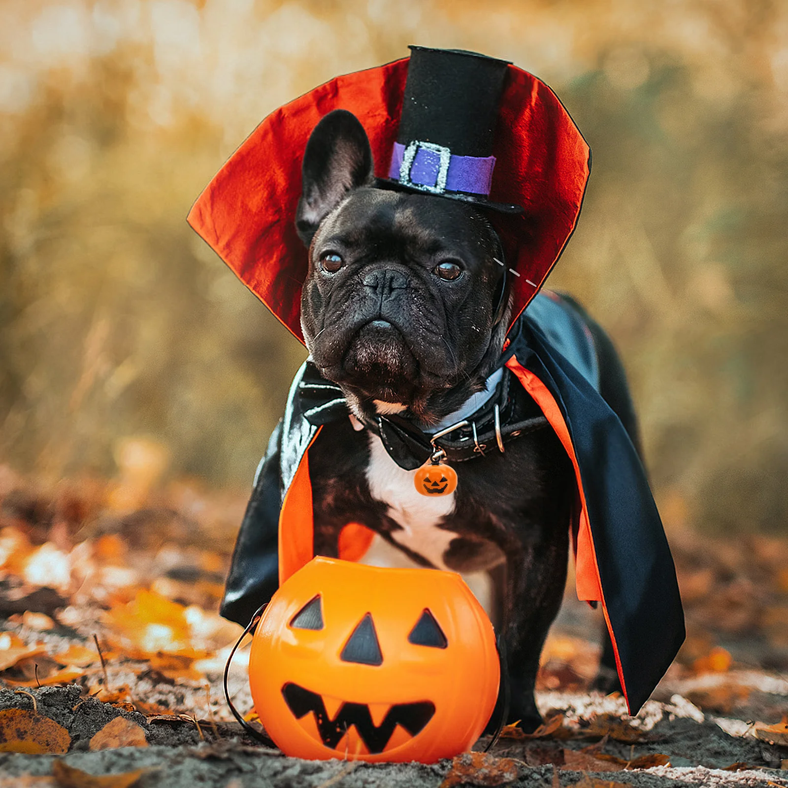 

5Pcs Durable Copper Pumpkin Bells Pet Collar Accessories Pumpkin Shape Quick Release Buckle Dog Necklace Pet Bells