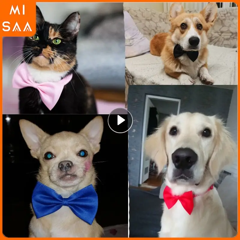 Pet Accessories Easy To Adjust Comfortable For Pets High-quality Top-selling Fashionable Popular Fashionable Dog Bow Ties