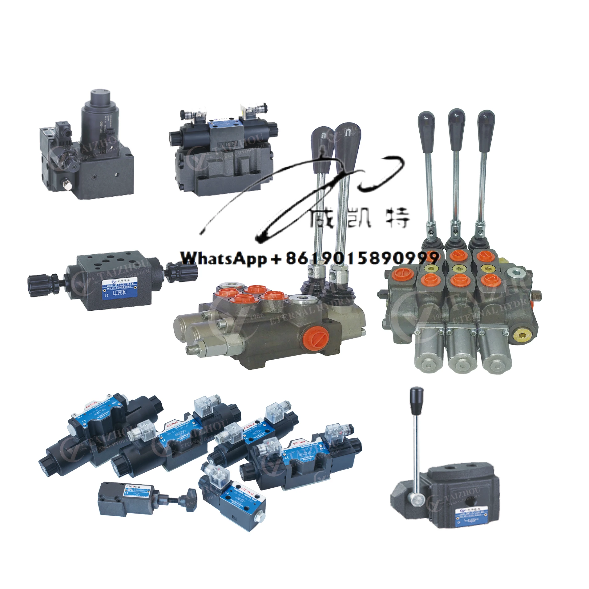 

P40 P80 Monoblock Hydraulic Directional Control Valve, DSG Flow Pressure Spool Manual Valve Yuken Rexroth Valves with Solenoide