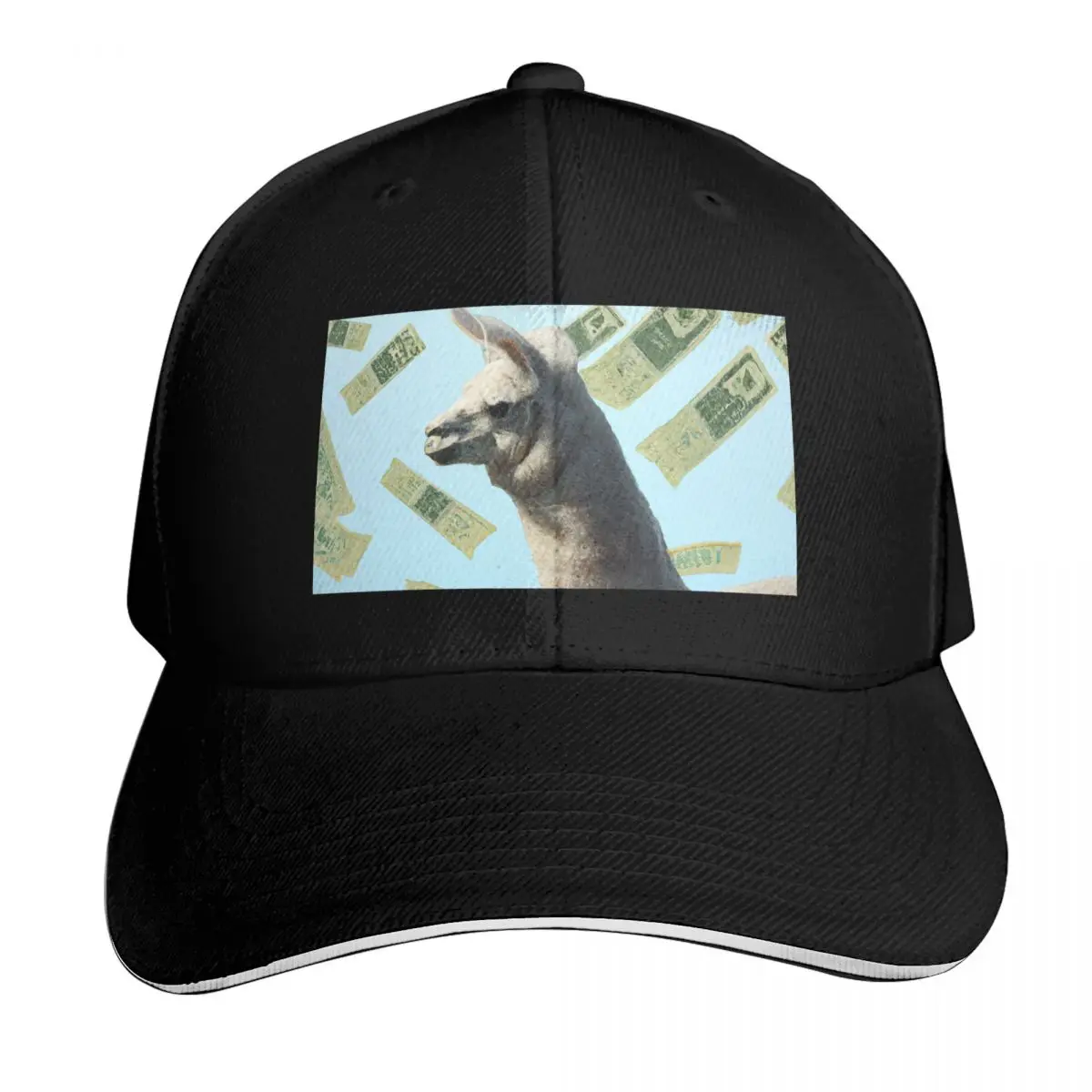 Raining Money on Llama Baseball Cap Six Panel Structured Crown Sun Protection UPF 50+ Breathable Mesh Back