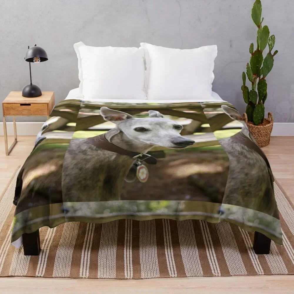 

Whippet Throw Blanket halloween Shaggy Blankets