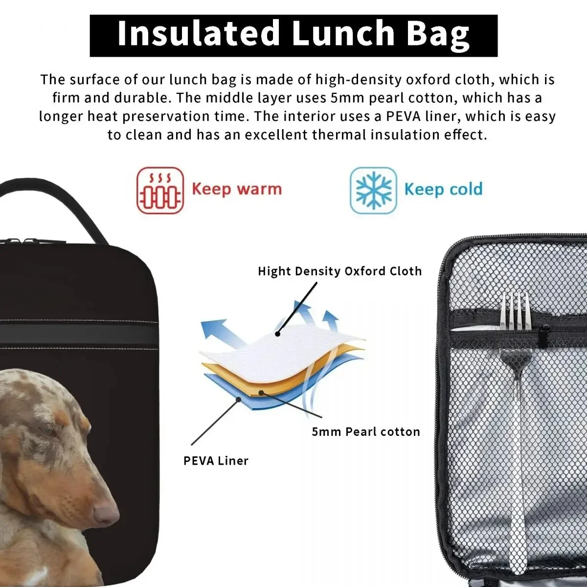 Sacchetti per il pranzo isolati bassotto sacchetto termico contenitore per pasti Wiener salsiccia Doxie Dog Lover Tote Lunch Box sacchetto per la conservazione degli alimenti College