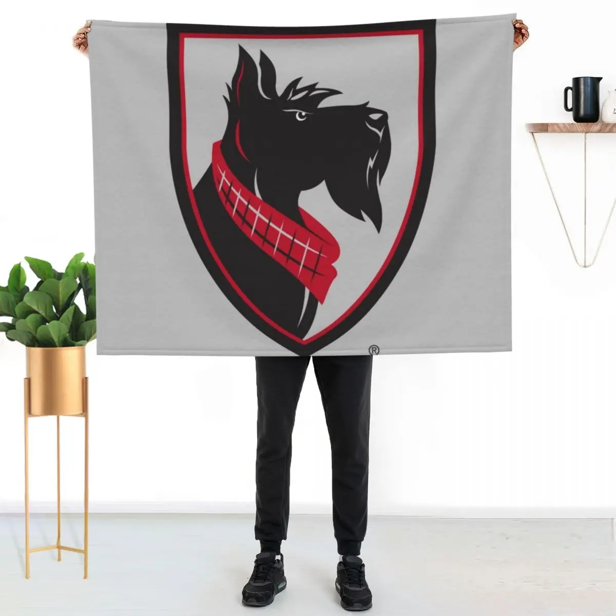 

carnegie mellon tartans Throw Blanket Air Conditioner Soft Blanket for Office Home