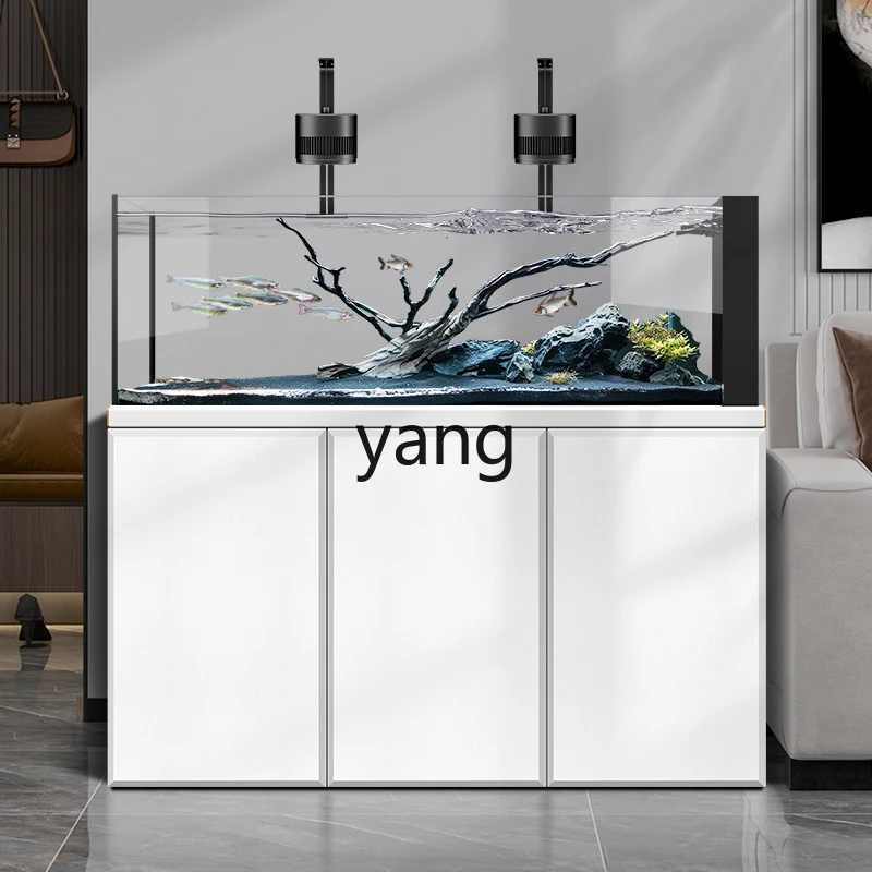 LH  native stream tank fish tank living room home floor glass ecological aquarium