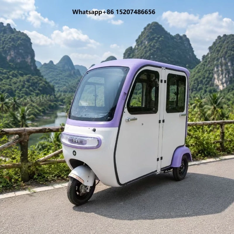 1000W Electric Tricycle 60V 300-400kg Payload 15-20 Grade Ability EEC Certified for 3-Passenger Transport