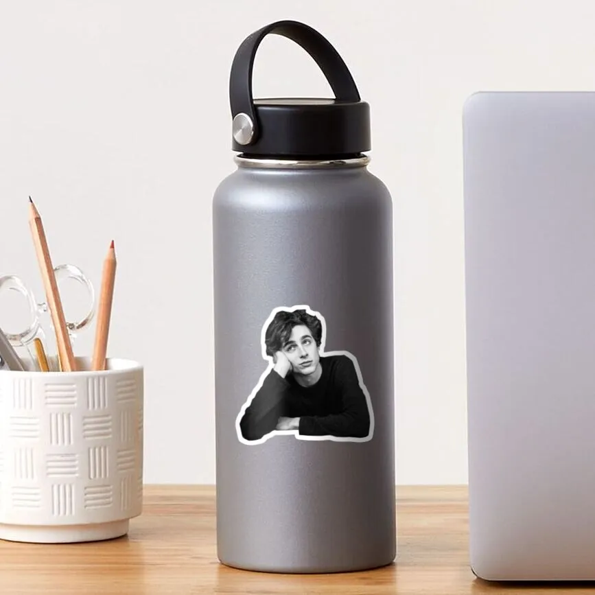 Timothee Chalamet 5PCS Stickers for Luggage Room Anime Print Kid Background Decor Laptop Decorations Funny Home Car Art