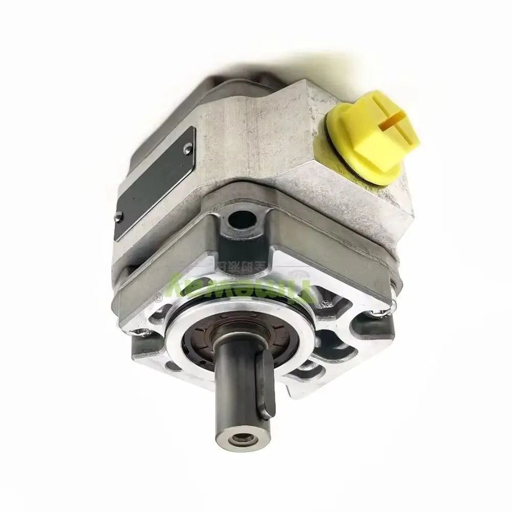 

PGF High Pressure Rotary Internal Oil Micro Pump PGF2-22 006RA01VP2 Hydraulic Gear Pump