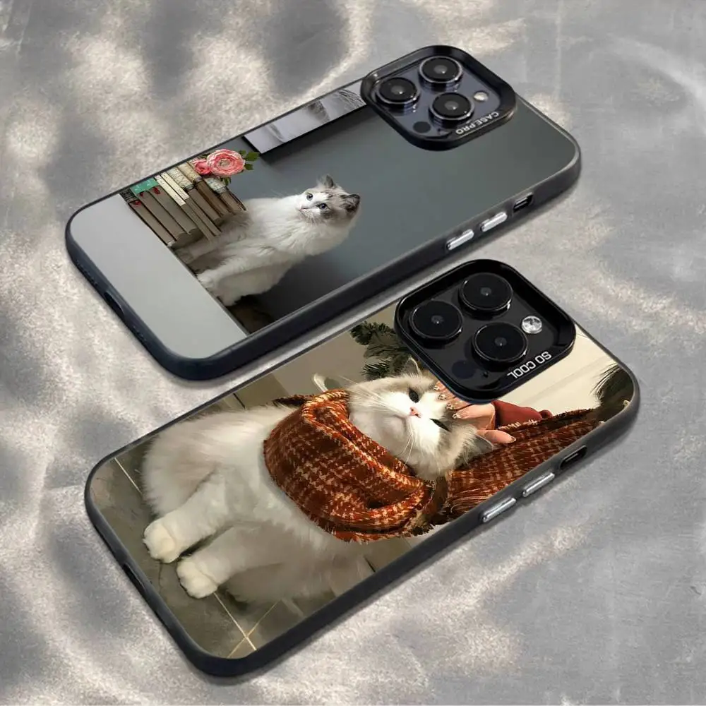 

Ragdoll Kitten Cat Phone Case For iPhone17,16,15,14,13,12,11,Mini,Pro,MAX,plus,Black Matte Shockproof Cover