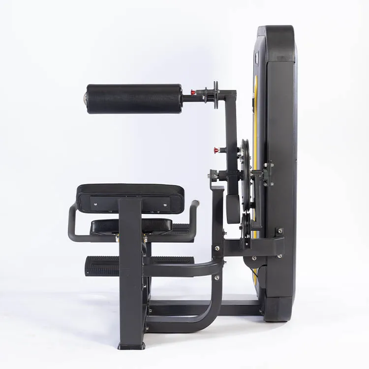 الصين مصنع معدات الصالة الرياضية ASJ-ZM007 المهنية معدات اللياقة البدنية دبوس تحميل تدريب القوة تمديد الظهر