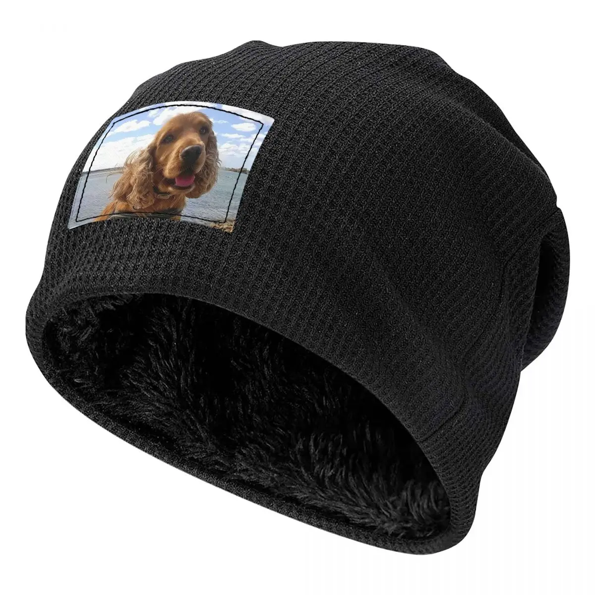 Funny Cool Cocker Spaniel Dog Animal Men Women Adult Beanies Caps Fleece-Lined Bonnet Hat Warm Autumn Winter Skullies Hats