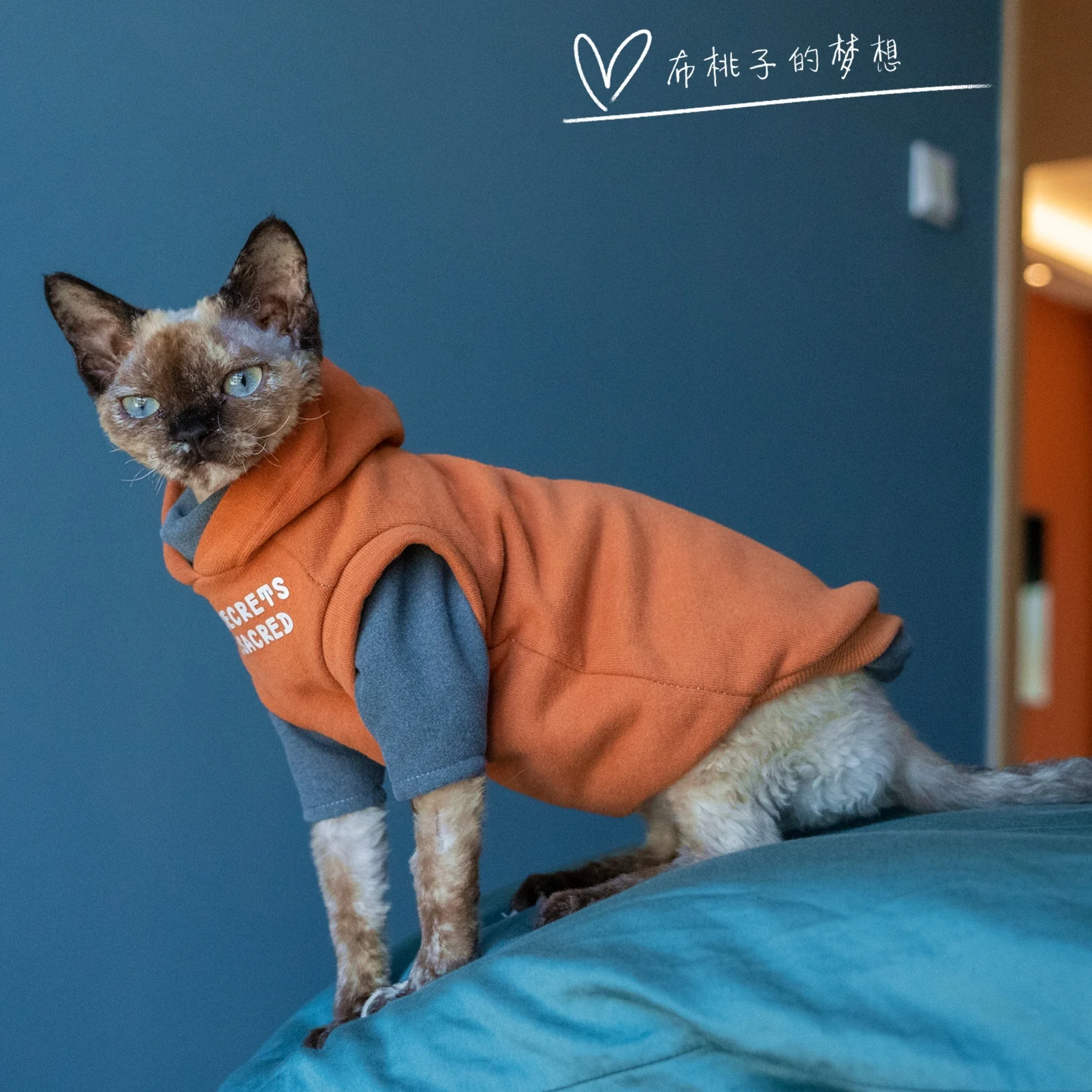 Fashion Sweatshirt Coat Suit for Sphynx Cat in Winter Thick Warm Costume for Kittens Soft Orange Jacket for Devon Cat