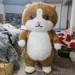 2025 Orange Cat mascot costume cartoon character 2m/2.6m Atmosphere Cat inflatable mascot costume for adults