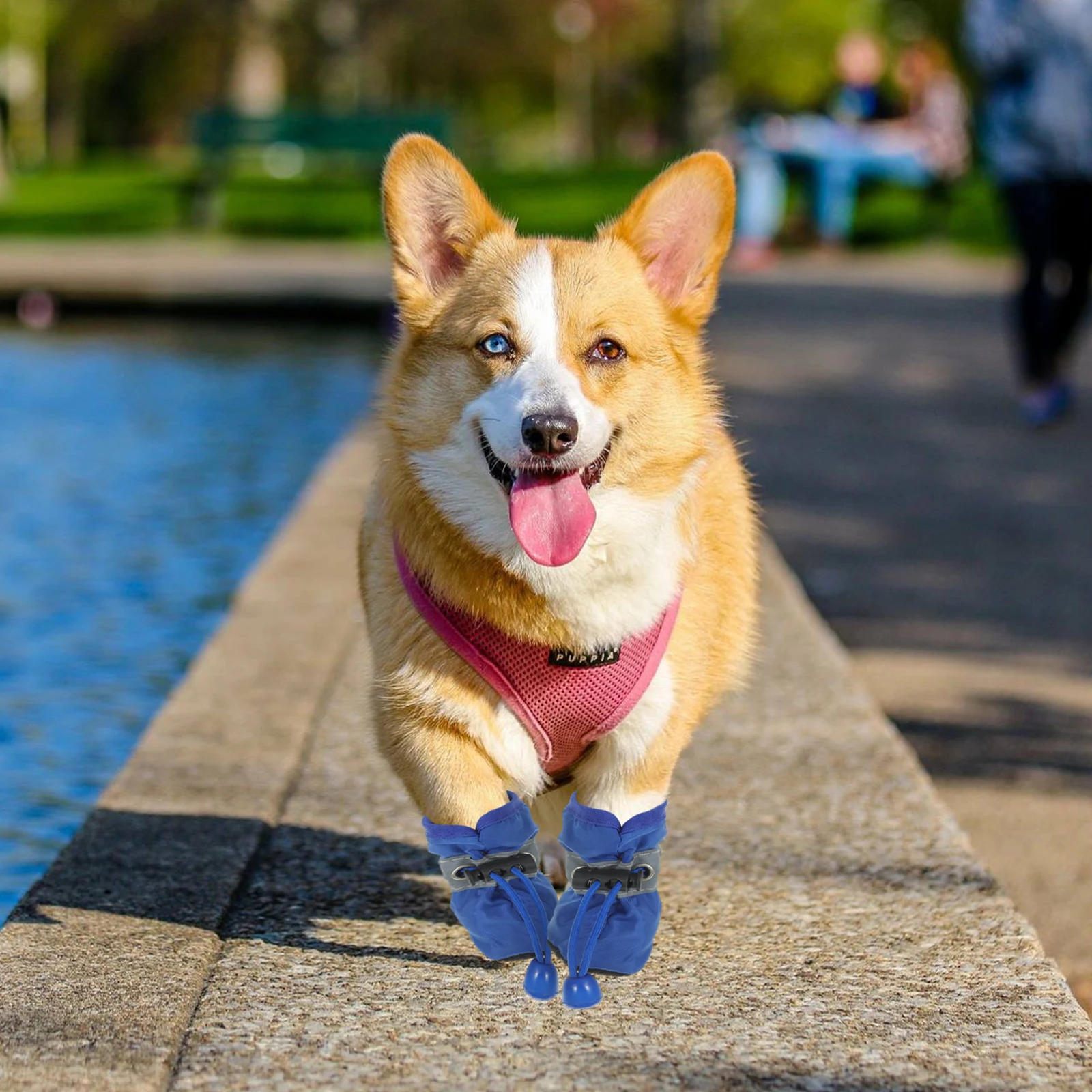 

4Pcs Waterproof Dog Boots Anti Slip All Season Outdoor Shoes for Small Medium Dogs Blue Hiking Running Pet Shoes