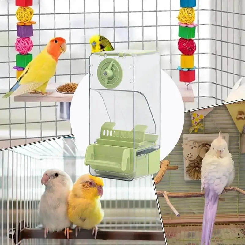 Mangiatoia automatica per uccelli Paraveri a prova di perdite Mangiatoia per alimenti Gabbia per uccelli Forniture Dispenser di cibo per parrocchetti Cockatiels Canarini