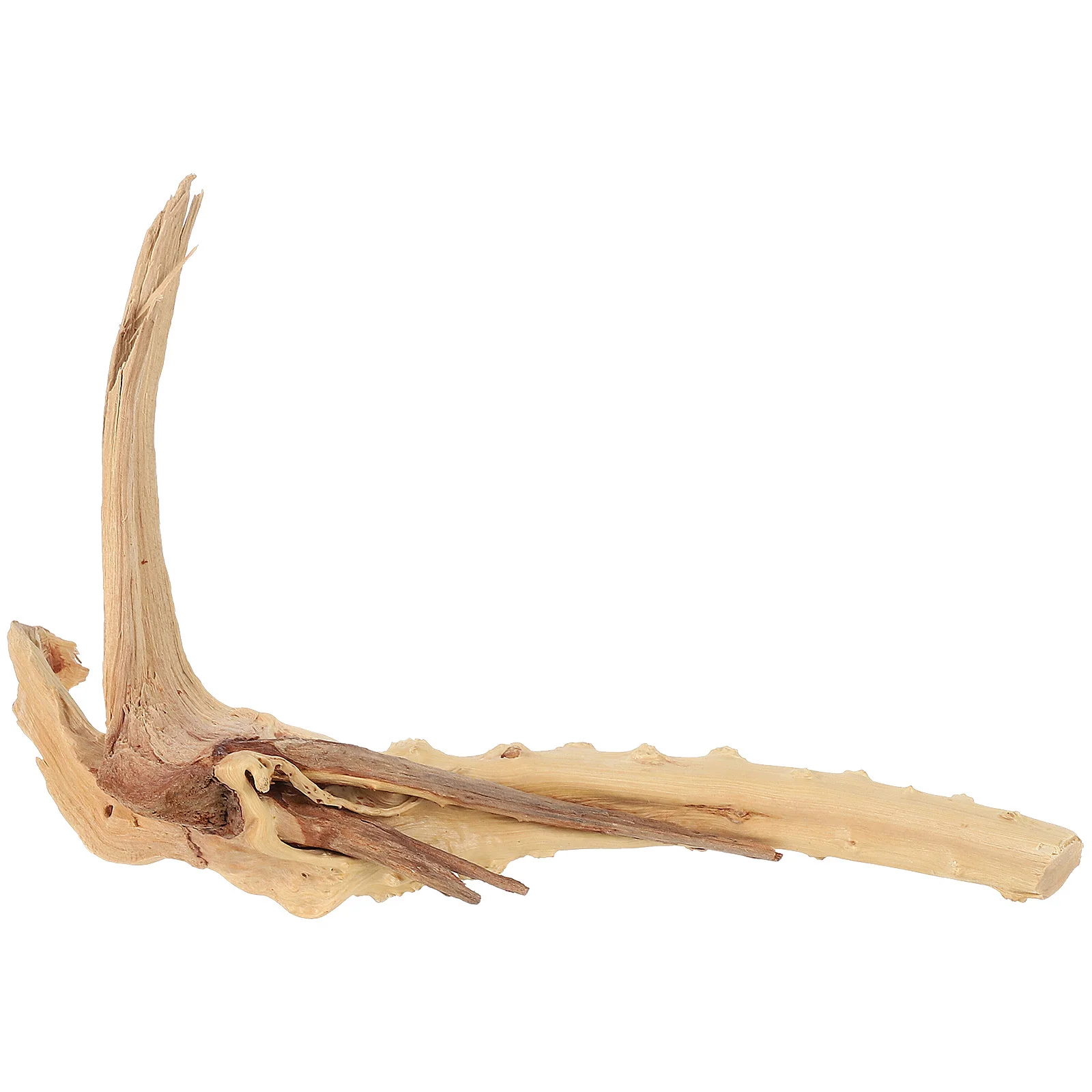 

10pcs 10 Count Decoration Aquarium Driftwood Freshwater Small Large Decorations Fish Tank Natural