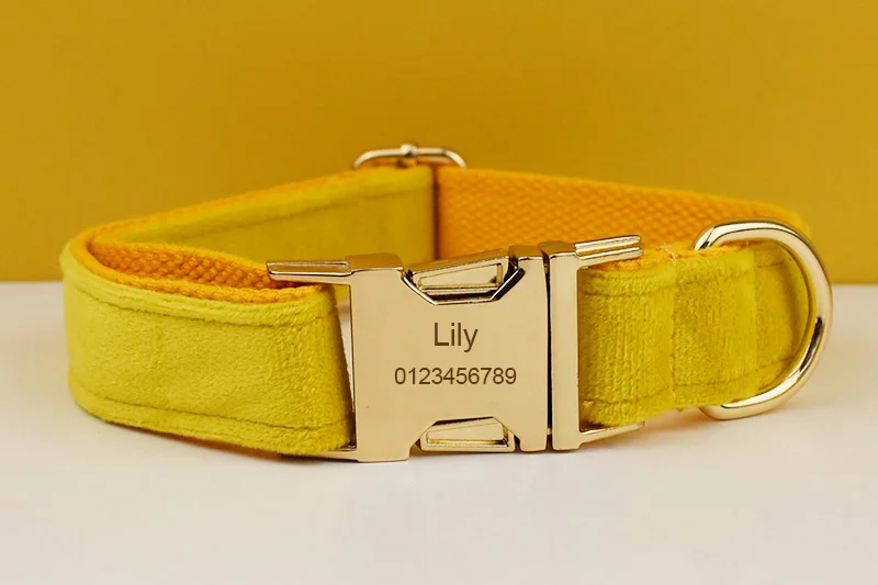 Gelbes Samt-Hundehalsband und Leinen-Set für kleine, mittelgroße und große Hunde, individuell graviertes Namensschild, Heimtierbedarf, Hundeleine, Velvet04 – Detail 3