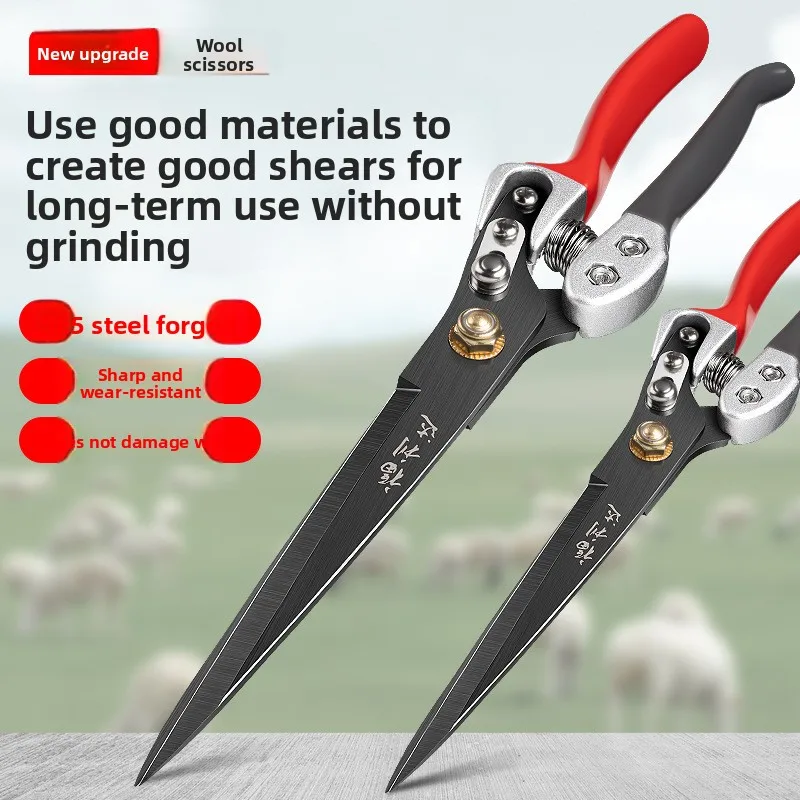 Handmade metal wool scissors for rabbit fur on a sheep farm
