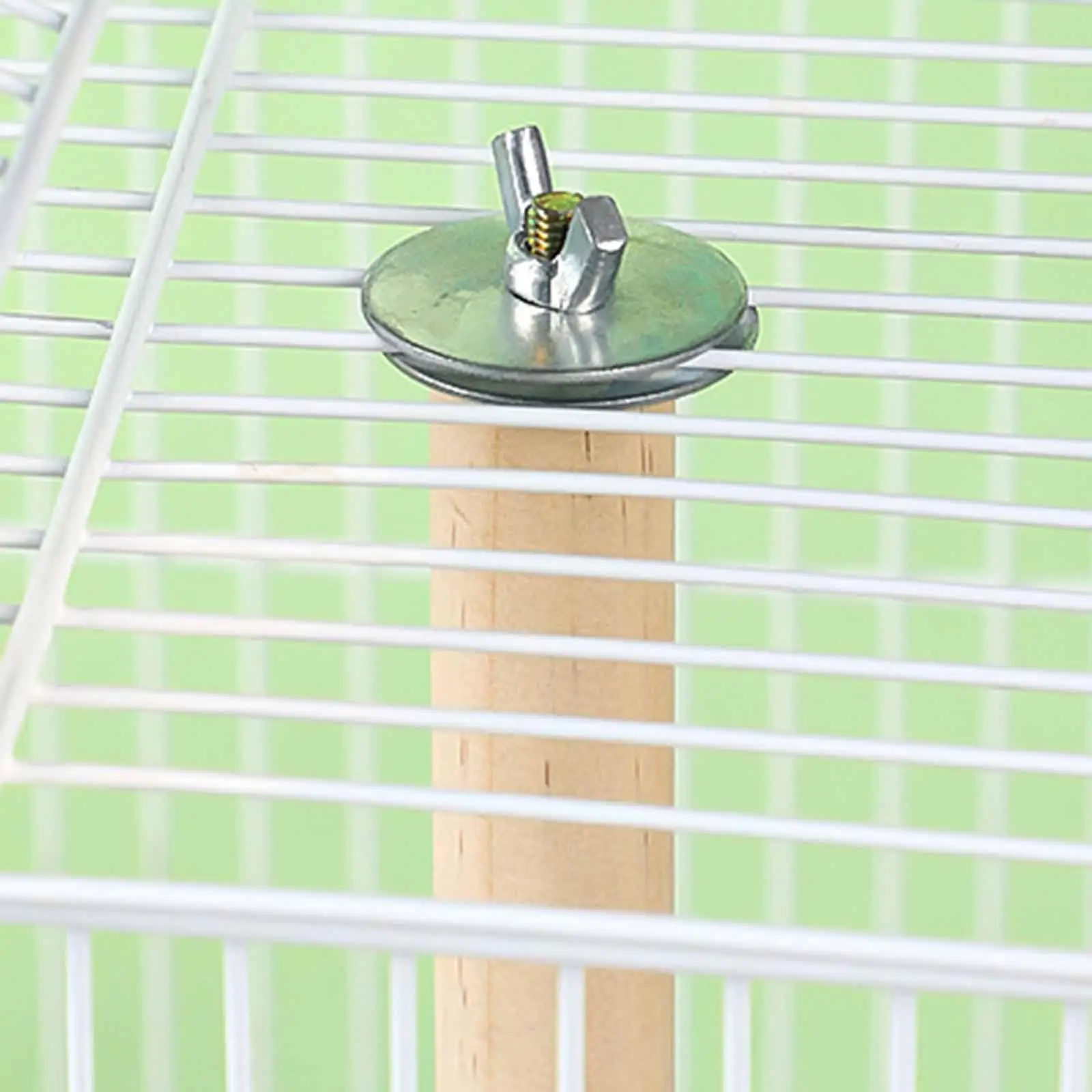 Cage Mount Feeding Bowl Tray Wooden Stand Bird Perch Training Platform Parrot Supplies for Small Birds
