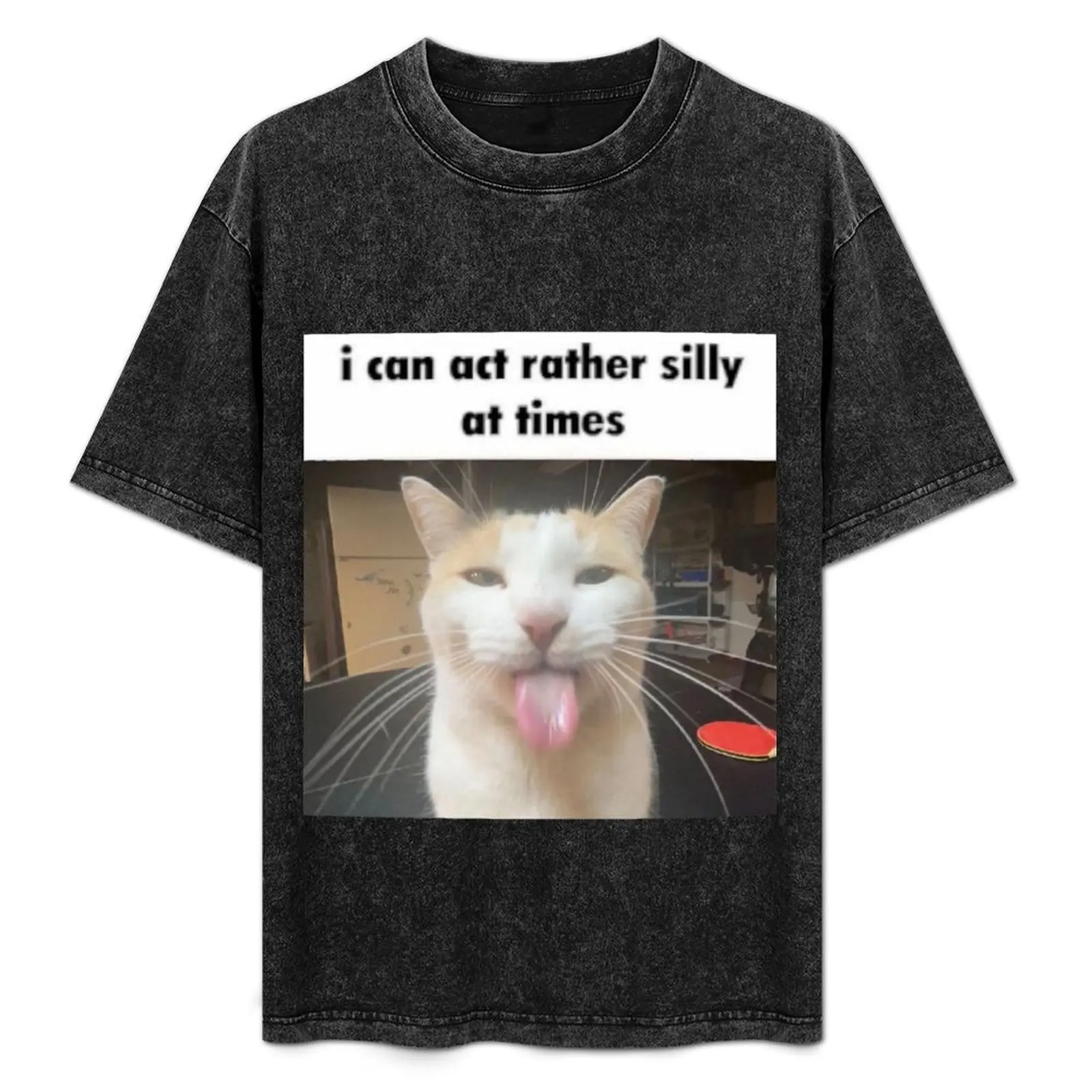 

i can act rather silly at times T-Shirt customizeds plus size tops plain black t shirts men