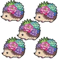 5pcs