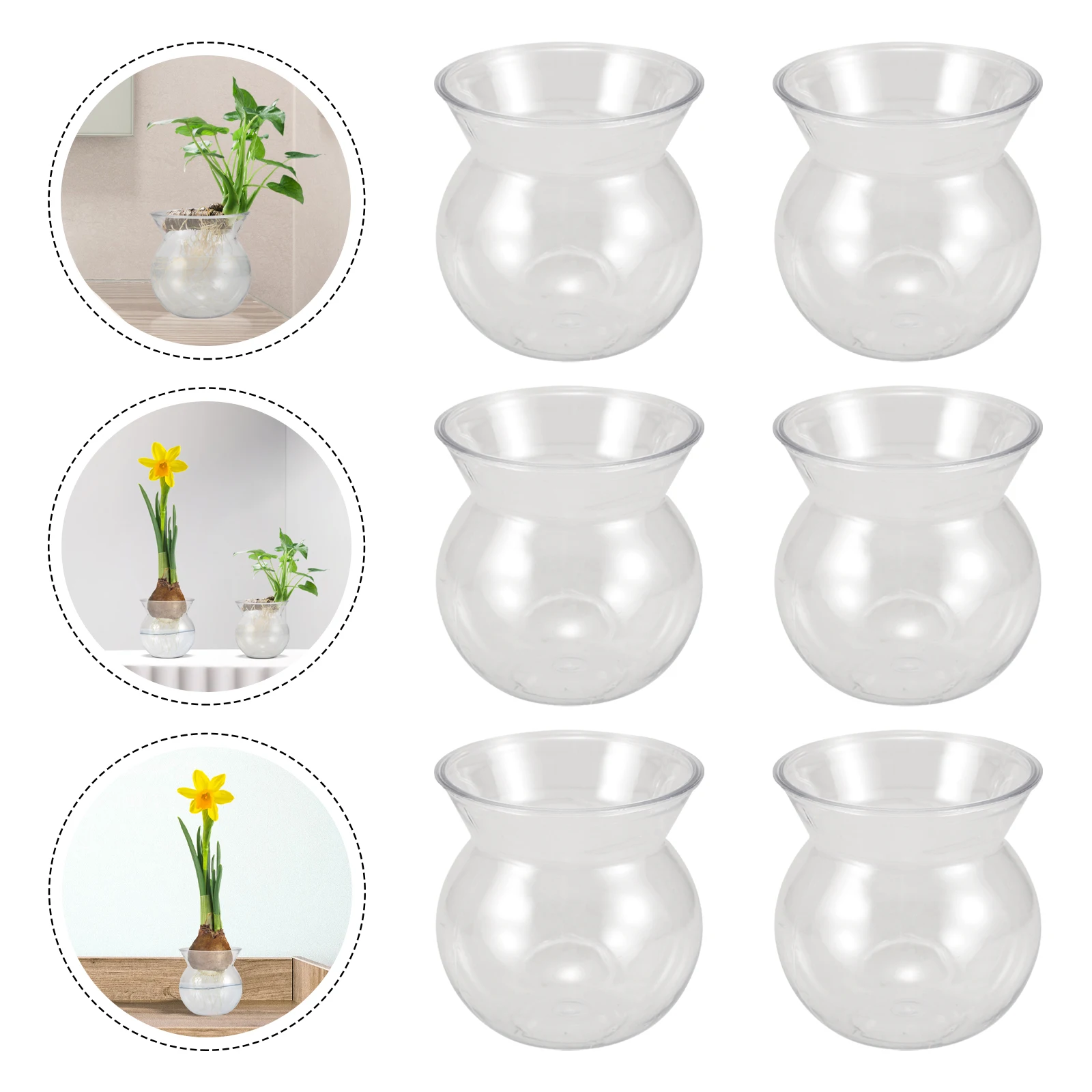 

6 Pcs Transparent Flower Pot Cactus Gold Fish Tank Small Potted Plants Creative Mini The Pet Bonsai Decorative Vase