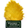 hens straw yellow