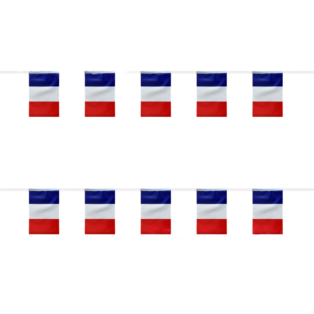 EOODLOVE French Flag 14x21cm Polyester Flag 20pcs/set French Flag Suitable for Parties, Holidays, Indoor and