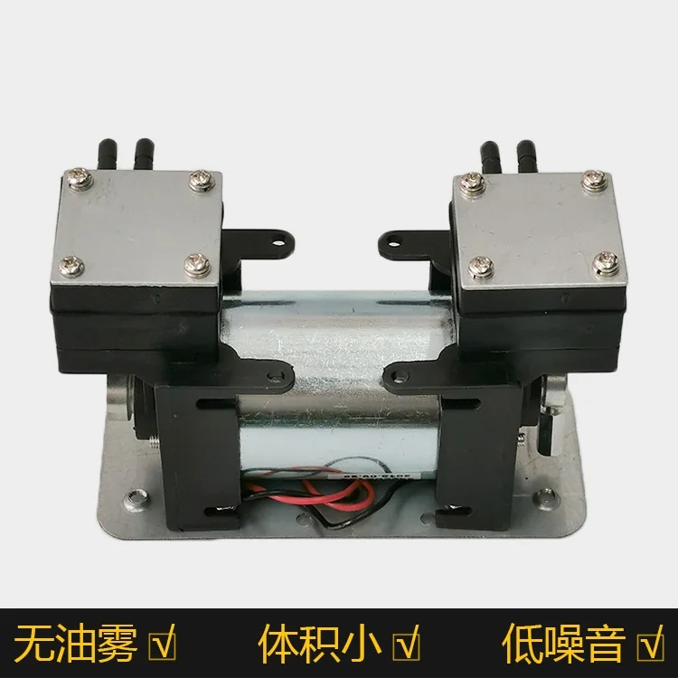 Micro pompe à vide DC12V, Micro pompe à Air spéciale pour Instruments de beauté, petite pompe à pression négative à Double tête