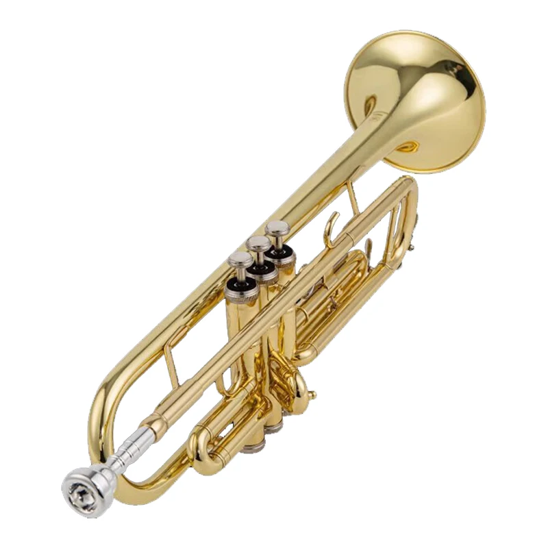 ياماها YTR-200DR B أداة البوق المسطح للطلاب والكبار والأطفال والمبتدئين امتحان اللعب والتدرج، نسخة نحاسية #5